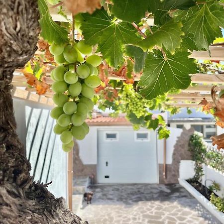 Tamaduste La Casita De La Parra, El Hierro 빌라 외부 사진